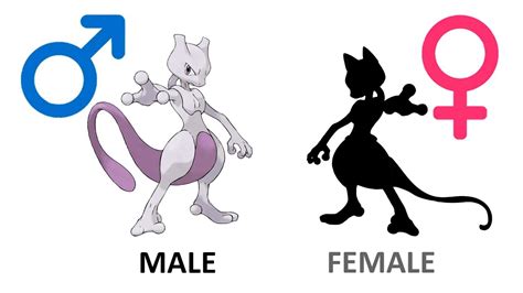 mewtwo evolve|mewtwo gender.